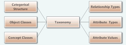 Mind map showing the discipline of taxonomy as concerned with categorical structure, relationship types, object classes, attribute types, concept classes, and attribute values